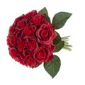 Nature Spring 18PC Artificial Rose Bundle (Red) 159542RHG